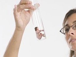 公主岭市试管婴儿流程是怎样的（公主岭市试管婴儿医院哪家好）