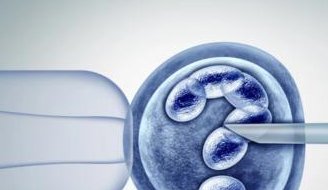 促排期间不是一定要大补吗