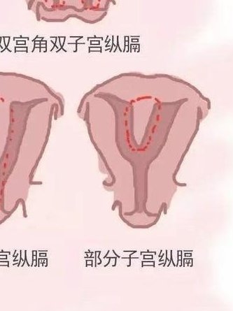 国内三代试管婴儿私立医院有哪些？附详细医院名单
