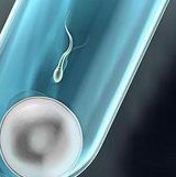 最广泛的泰国试管攻略，本来能够如此省钱