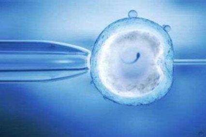 沈阳地区有哪些私立的机构可以做试管技术？2026年俄罗斯试管婴儿费用明细